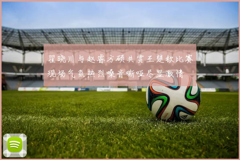 翟晓川与赵睿方硕共赏王楚钦比赛现场气氛热烈嗓音嘶哑尽显激情